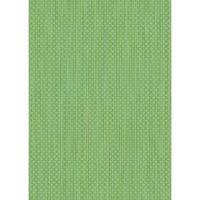 

Плитка настенная Tropicana TCM021D зеленая 250х350 (в упаковке 1,4 м2)