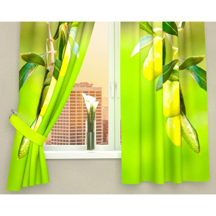 Фотошторы кухонные "Ветвь с оливками", размер 145х160 см-2 шт, габардин 03147