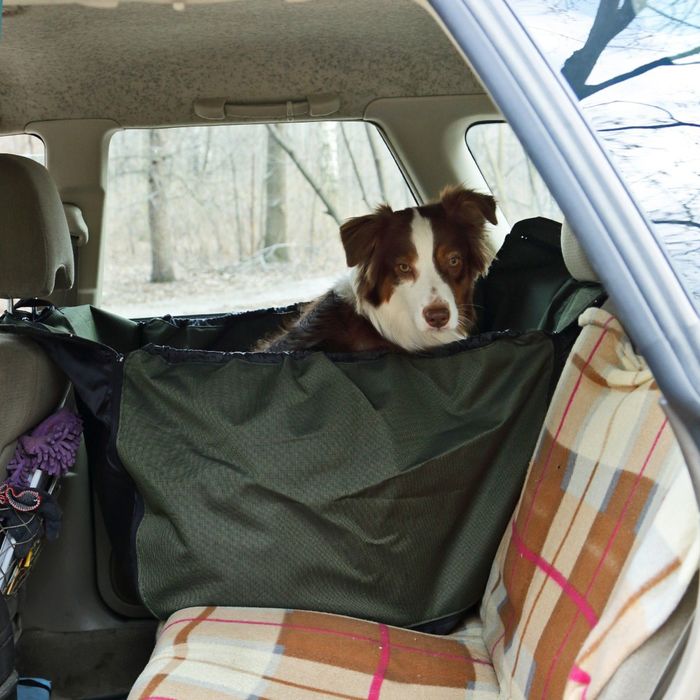 Автогамак OSSO на 1/3 сидения, 135 х 50 см, микс цветов