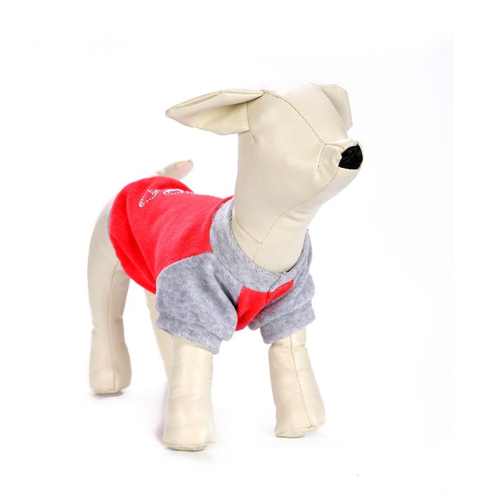 Толстовка из велюра OSSO, 32 (длина изделия 27-28 см, ОГ 39-41 см), микс цветов