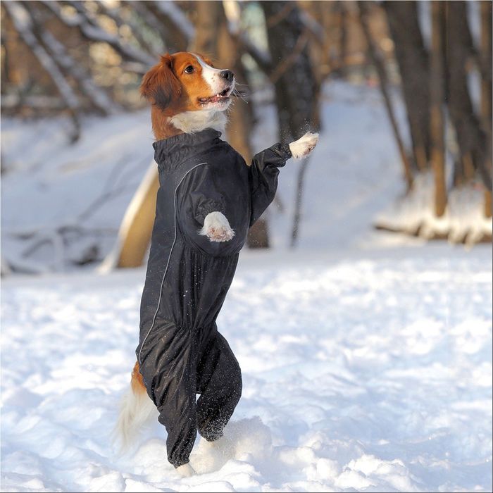 Комбинезон OSSO, кобель, 50-0 (ДС 50см, ОГ 50-68см, ОШ 42-52см, ОТ 46-64см), микс