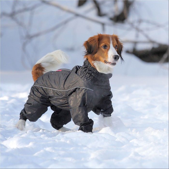 Комбинезон OSSO, кобель, 60-0 (ДС 60см, ОГ 62-88см, ОШ 48-58см, ОТ 52-72см), микс