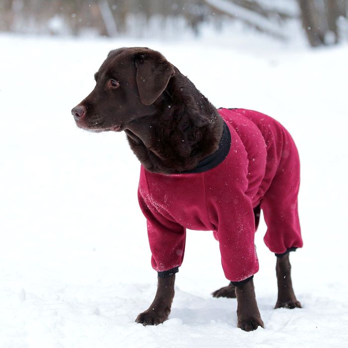 Комбинезон из флиса OSSO, сука, 45 (ДС 45 см), микс цветов