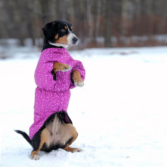 Жилет утепленный OSSO, 65 (ДС 65, ОГ 86-96 см, ОШ 65 см), микс