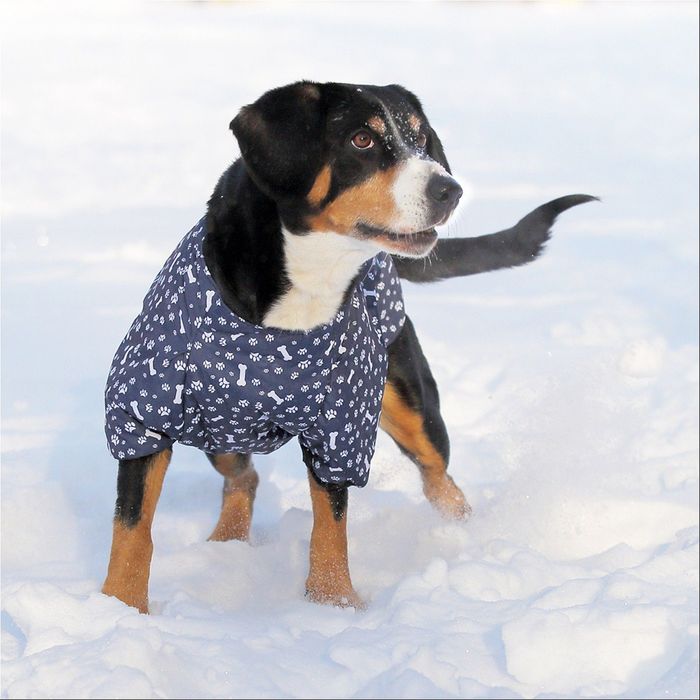 Жилет утепленный OSSO, 65 (ДС 65, ОГ 86-96 см, ОШ 65 см), микс