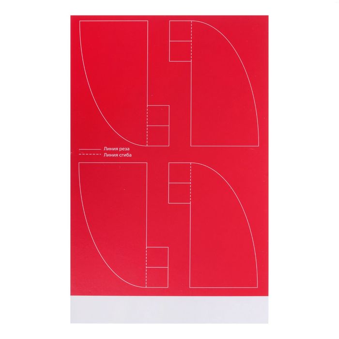 Набор научно-познавательный "Ракета своими руками"