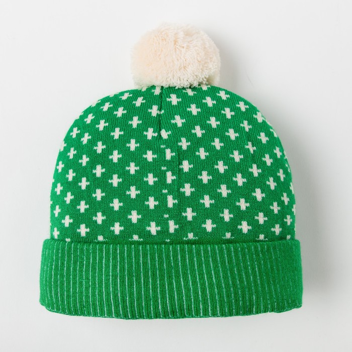 Шапка для мальчика, размер 50, цвет зелёный