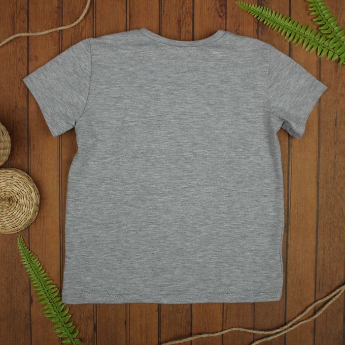 Футболка для мальчика, рост 110 см, цвет серый меланж