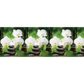 Кухонный фартук ПВХ Орхидея белая 3000х600х1,5 Ош