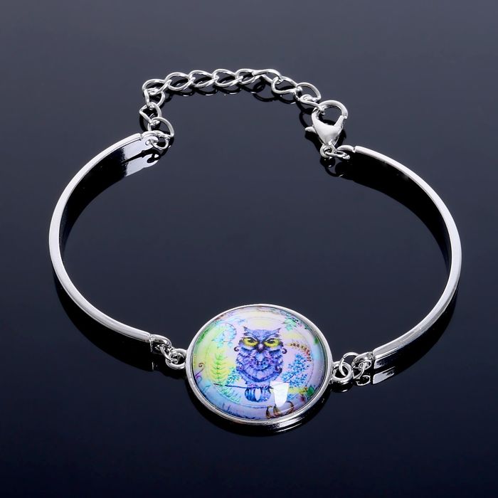 Браслет ассорти Candy сова, цветной в серебре