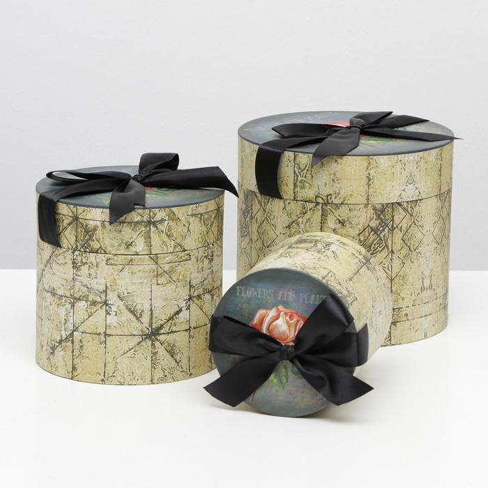 Набор коробок 3в1 21,5 х 21,5 х 19, 5 см