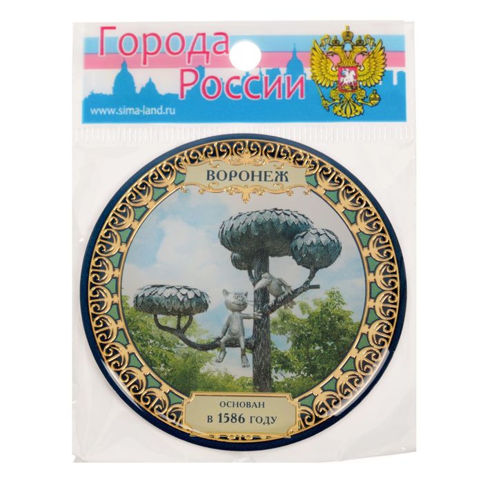 Магнит "Воронеж", 6 х 6 см