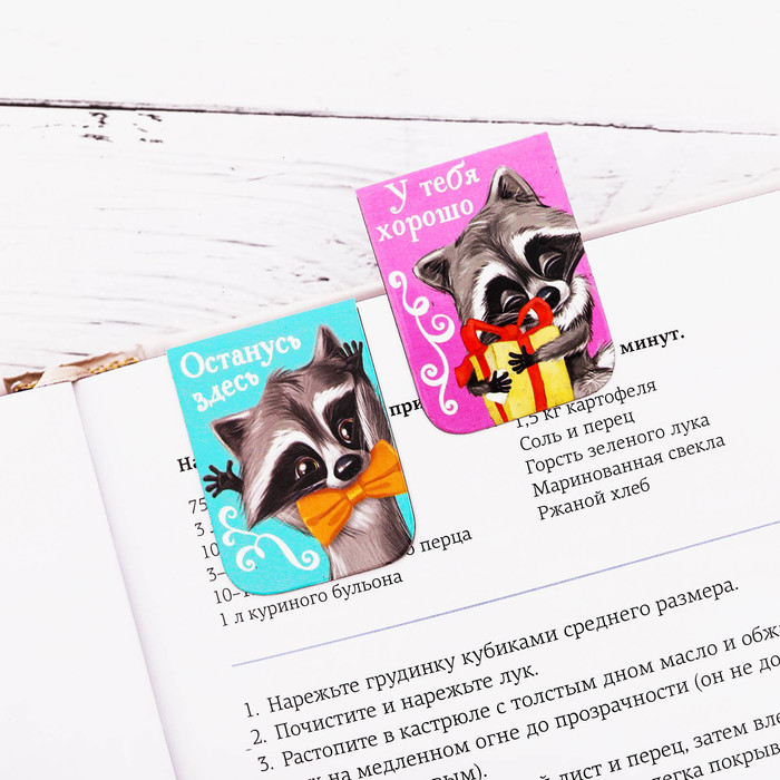 Набор магнитных закладок 3 штуки "Веселый енот любит читать"