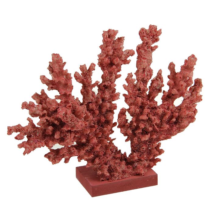 Декор настольный «Кораллы», 21 х 25 х 6 см
