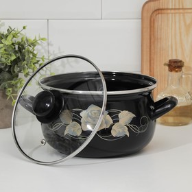 

Кастрюля «Чёрное золото», 3,1 л, стеклянная крышка