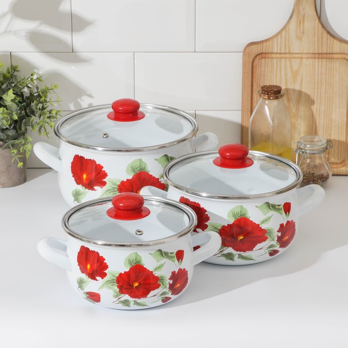 Набор кастрюль "Каркаде", 3 предмета: 2,1 л, 3,1 л, 4 л