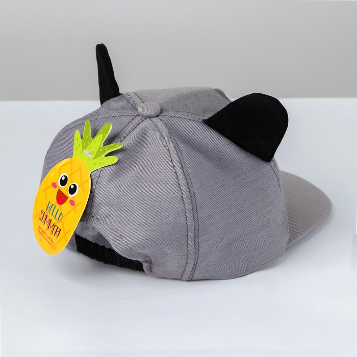 Кепка детская "Енотик", р-р. 44-48, 2-3 года