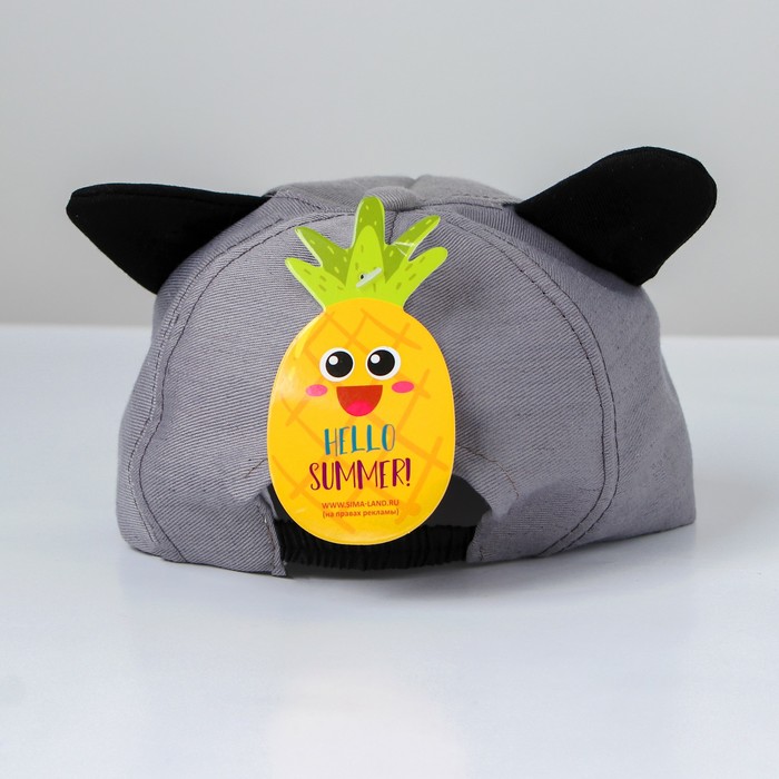 Кепка детская "Енотик", р-р. 44-48, 2-3 года