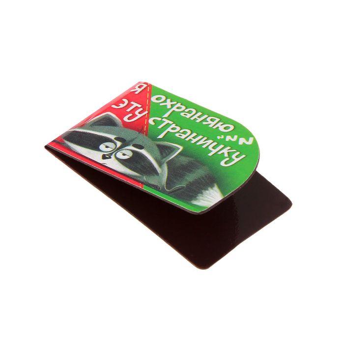 Набор магнитных закладок "Любознательный енот", 4 шт.