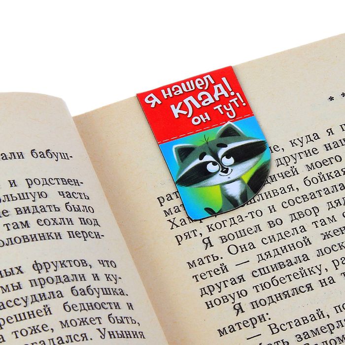 Набор магнитных закладок "Любознательный енот", 4 шт.