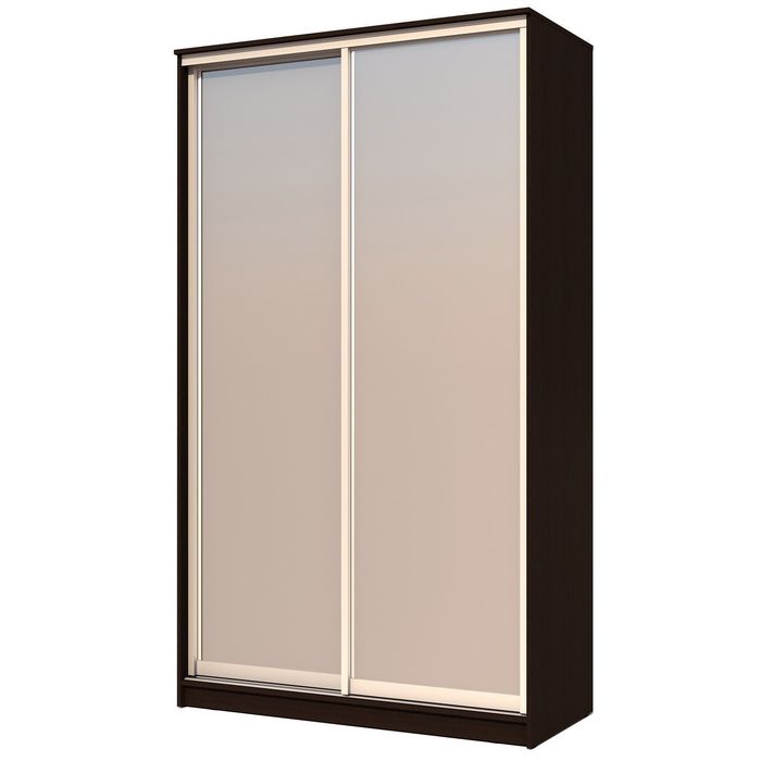 Шкаф-купе Хит-24-12-55, 2400х1200х620 Венге магия