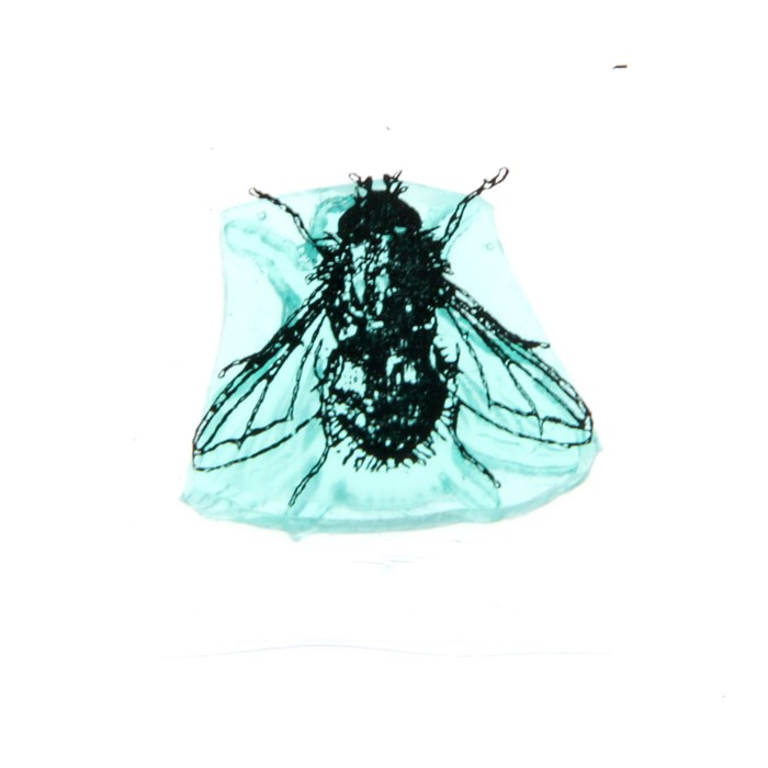 Штамп "Муха" 1,1х1 см (STAMP511)