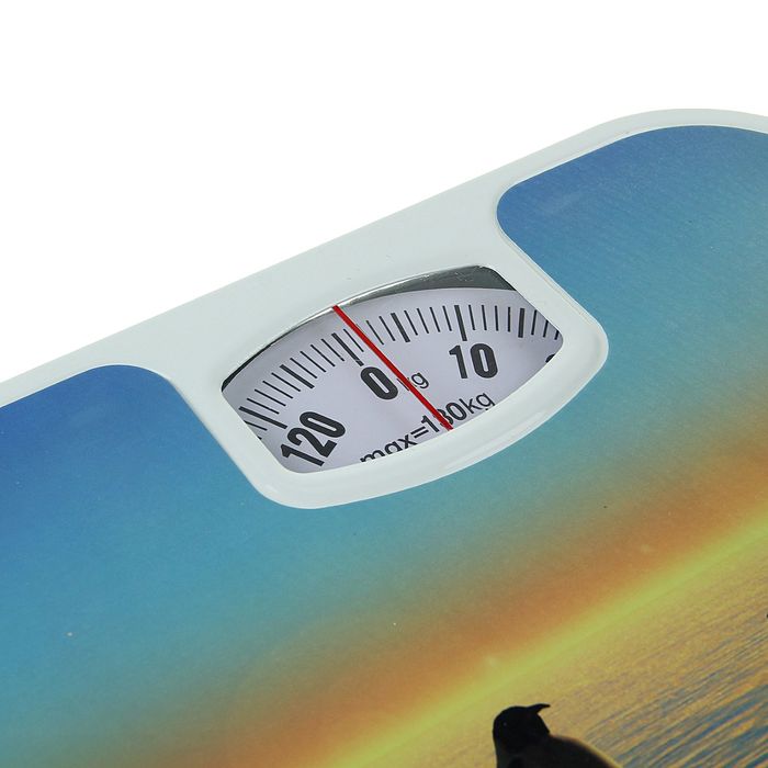 Весы напольные LuazON LVM-1310, напольные, механические, до 130 кг, "Пингвины"