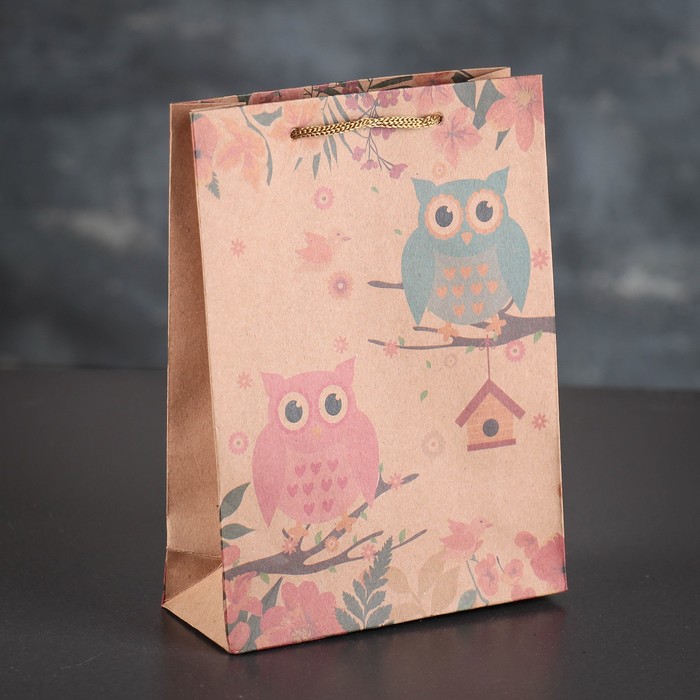 Пакет крафт "Совы", 20 х 15 х 6 см