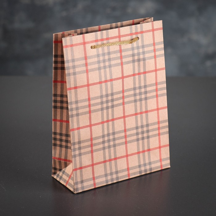 Пакет крафт "Клетка", 20 х 15 х 6 см
