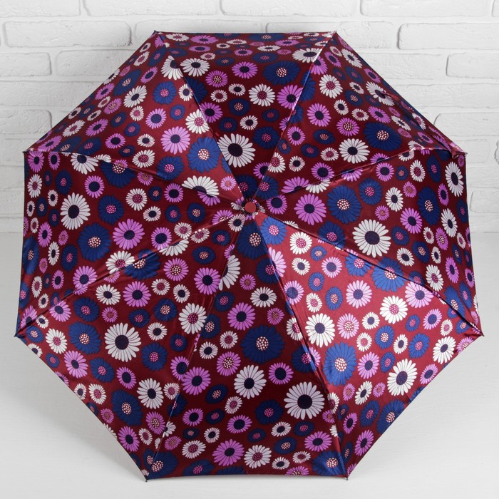 Зонт автоматический "Ромашки", R=55см, цвет бордовый