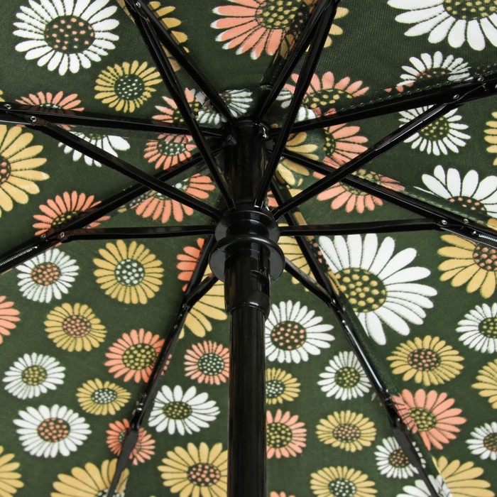 Зонт автоматический "Ромашки", R=55см, цвет зелёный