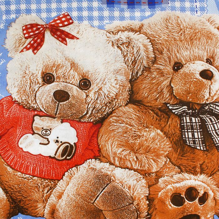 Постельное бельё Белиссимо "Плюшевые мишки" 1,5 сп., 215х143 см, 214х145 см, 70х70 - 2 шт., цвет синий, 125г/м