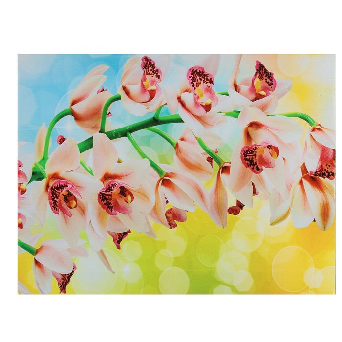 Картина на подрамнике "Яркая ветка орхидеи"