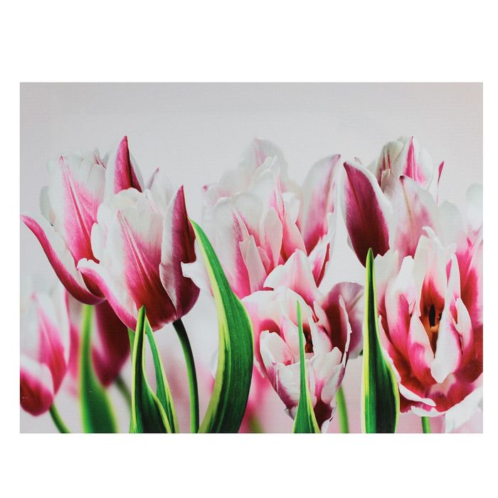 Картина на подрамнике "Прекрасные тюльпаны"
