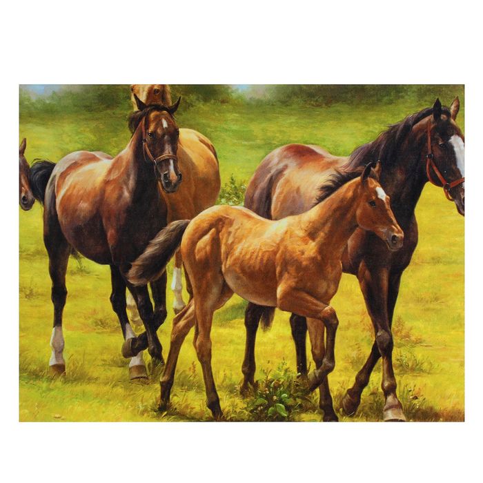 Картина на подрамнике "Конная прогулка"