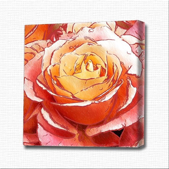 Картина-раскраска "Чайная роза"