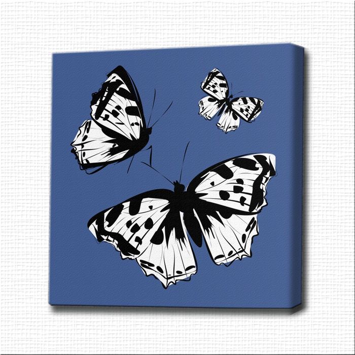 Картина-раскраска "Мотыльки на голубом фоне"