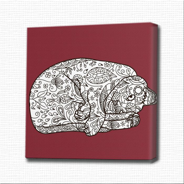 Картина-раскраска "Спящая кошка"