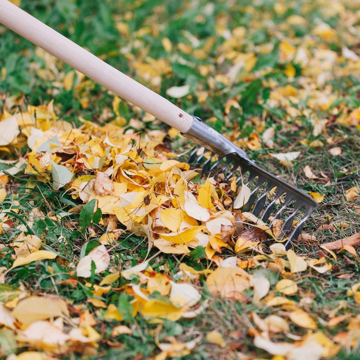 Грабли прямые, повёрнутый зубец, 14 зубцов, нержавейка, деревянный черенок
