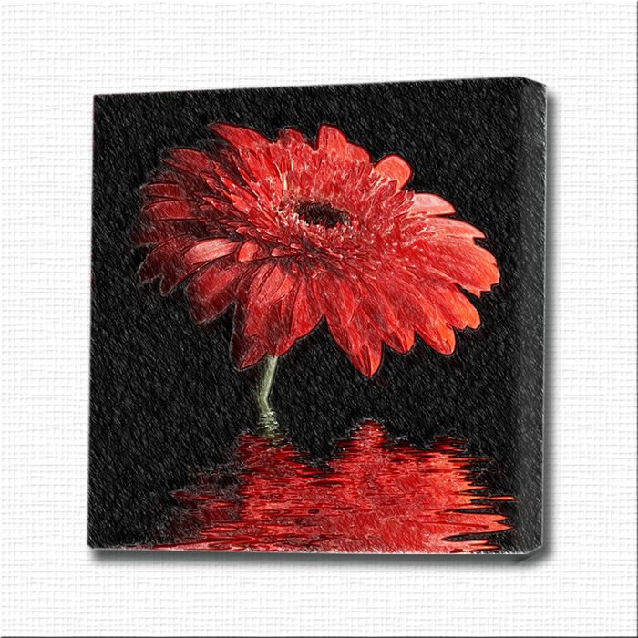 Картина-раскраска "Гербера в воде"