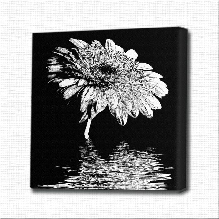 Картина-раскраска "Гербера в воде"