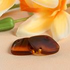 тёмный янтарь