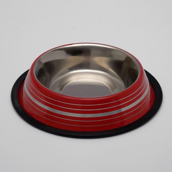 Миска на резинке DOGMAN №1 , 0,45 л цветная, МИКС