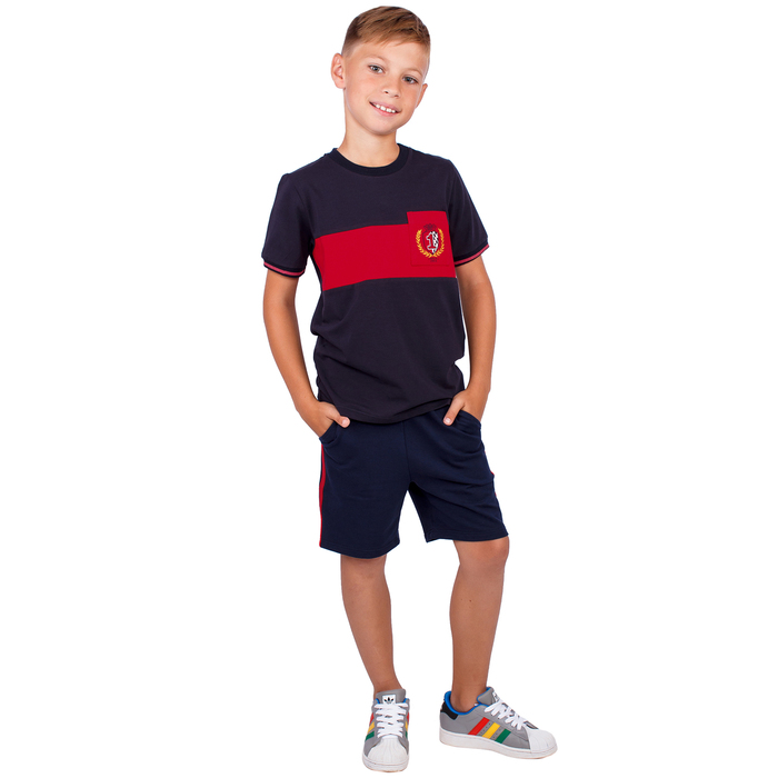 Футболка для мальчика "Формула", рост 116 см (60), цвет тёмно-синий, принт герб ПДК968804