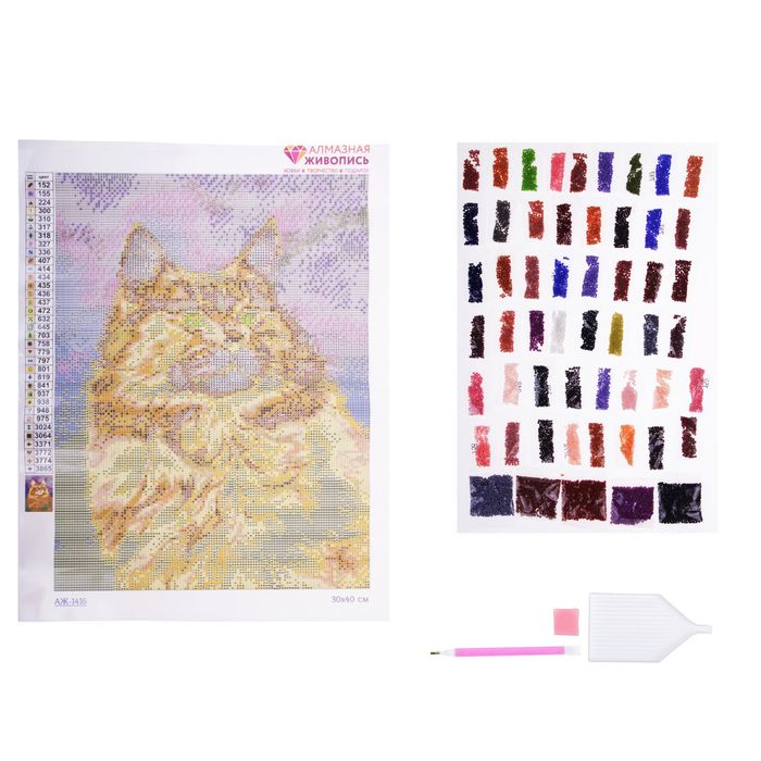 Картина стразами "Мейн-Кун"