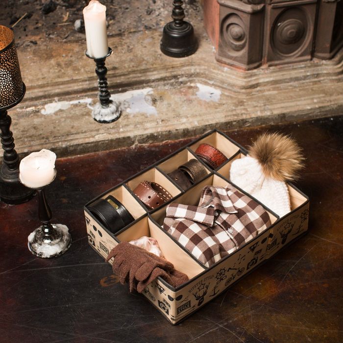 Органайзер для вещей Hipster Style 44х34х11