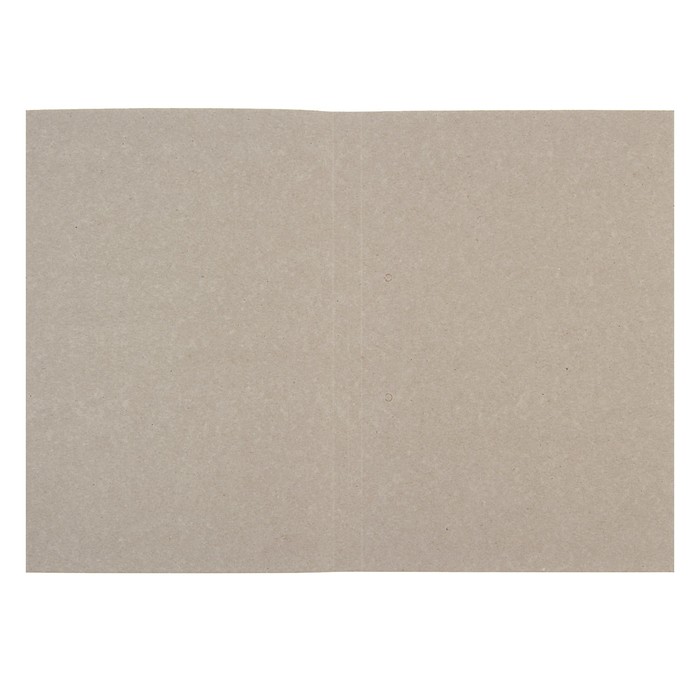 Папка-обложка "Дело", плотность 220 г/м2 , белая, немелованный картон