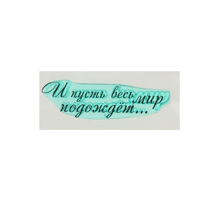 Штамп "И пусть весь мир подождет…" 4,6х1,3 см (STAMP556)