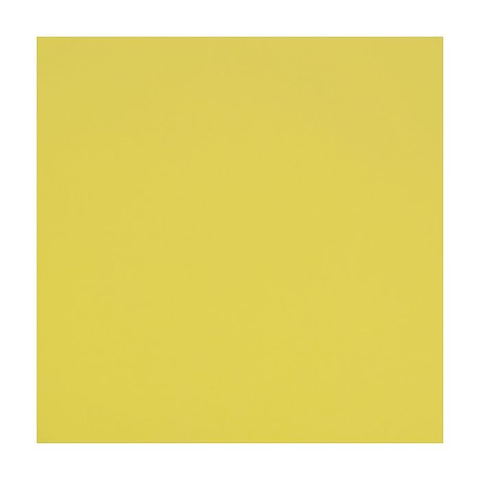 Фоамиран набор 10 листов 50х50, 1 мм "Лимончик" (f06)