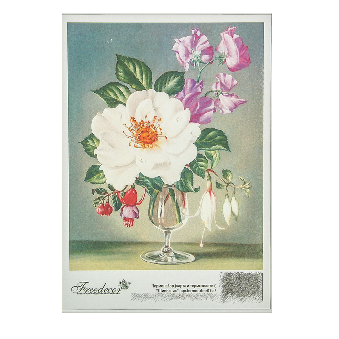 Набор термокарта А5 и термопластик с рисунком "Шиповник" набор 2 шт